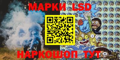 2c-b Камышлов