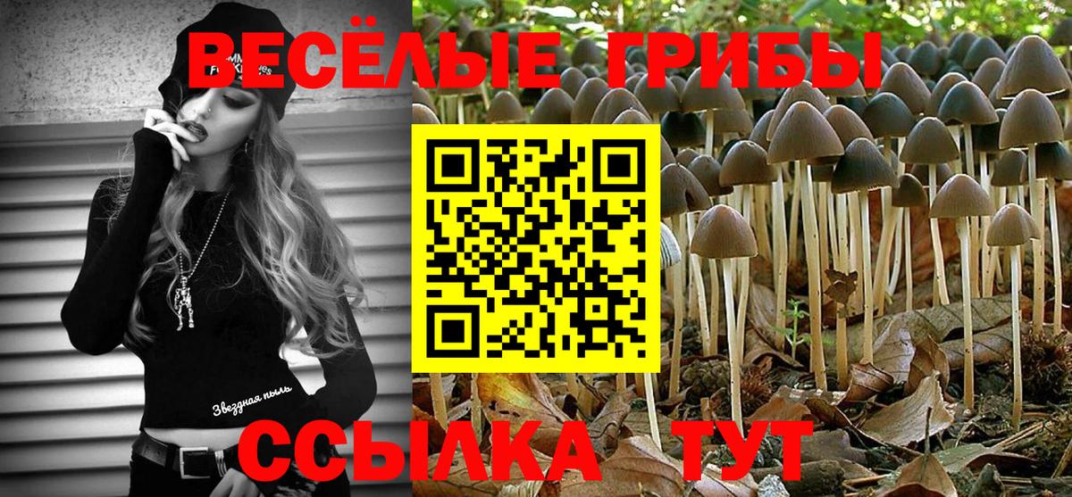 Псилоцибиновые грибы прущие грибы Гурьевск