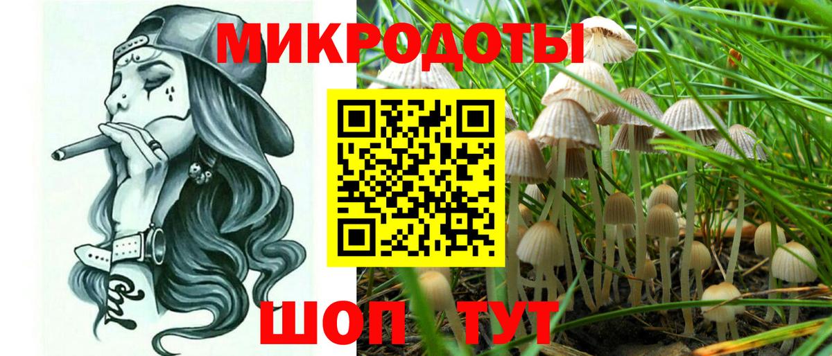 Псилоцибиновые грибы MAGIC MUSHROOMS  магазин продажи наркотиков  Гурьевск  Вход с VPN  Псилоцибиновые грибы мицелий 